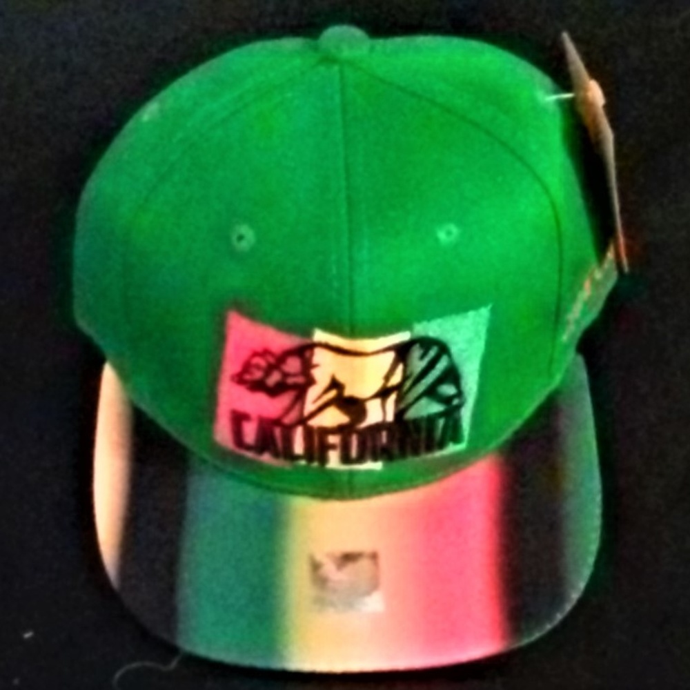 Rasta Scenic Colors California Republic Flat Cap